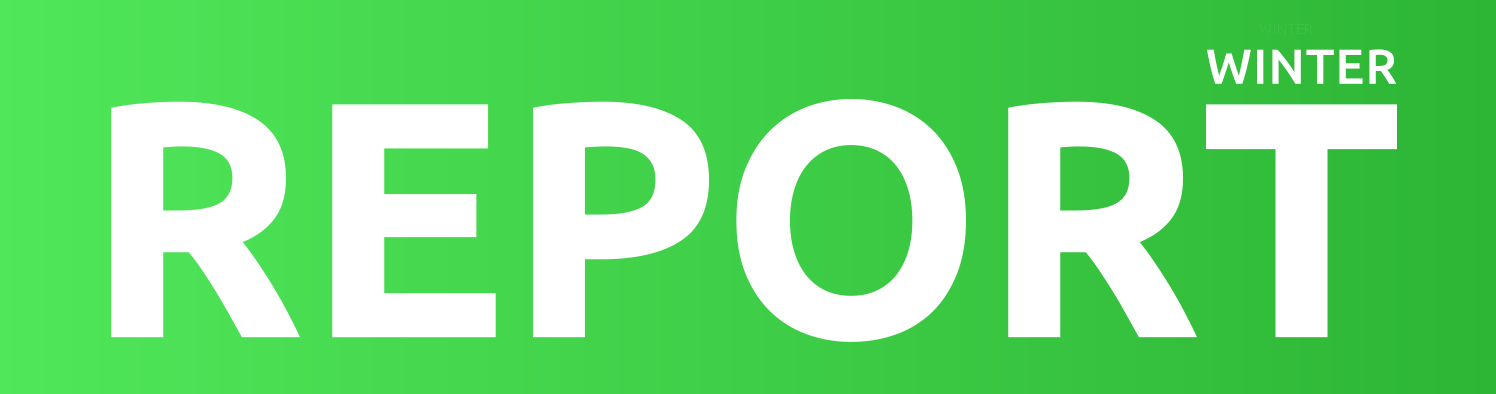 REPORT-header2
