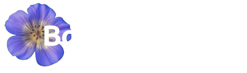 titel2